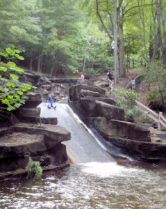 Behind buildings 4 & 5, the spillway between Disharoon Lake and Sconti Lake has been harnessed to construct a large 2-stage water slide. The sound of the water going over the slide is like a beautiful forest symphony. This is a part of the Swim Club on Disharoon Lake and can be reached by walking to the trail at the North end of "Creek-5". You decend down the hill next to the observation platform and turn right.